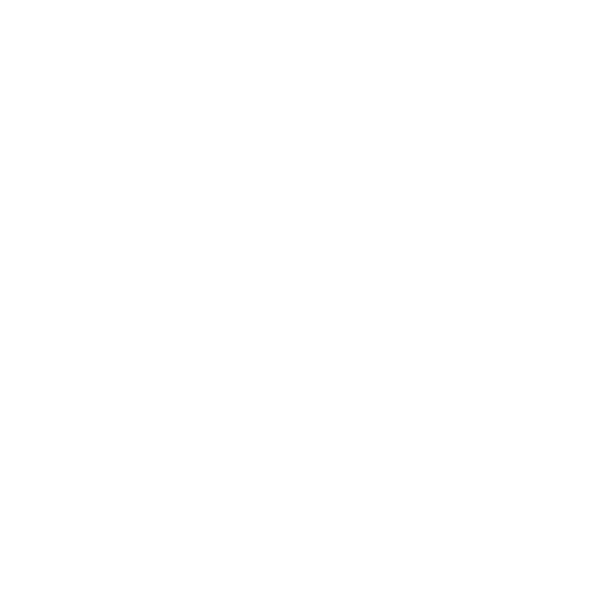 Logo optissimmo